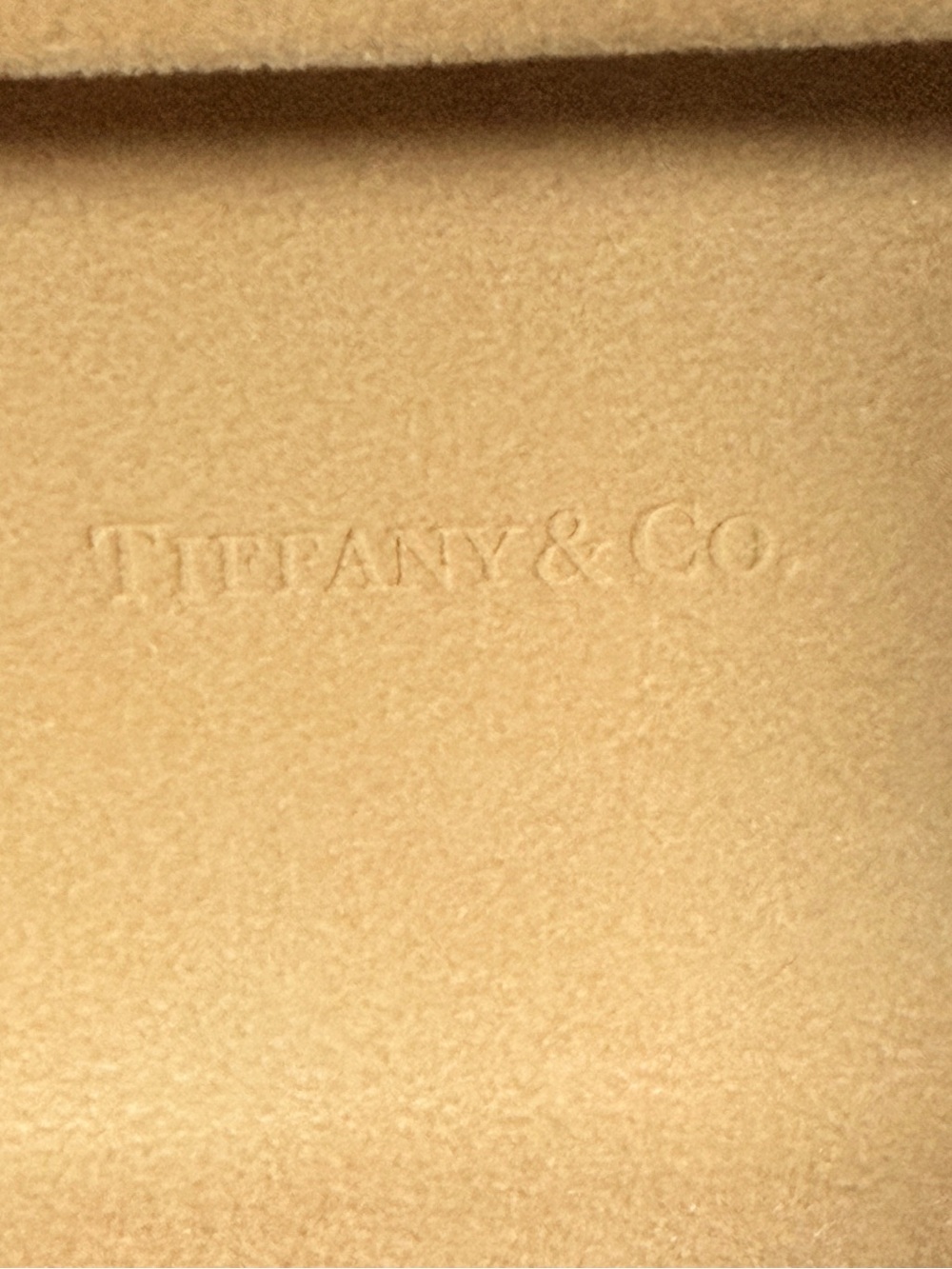 Tiffany & Co Genuine Robin's Egg Blue Sunglasses Hard Case - Picture 4 of 7
